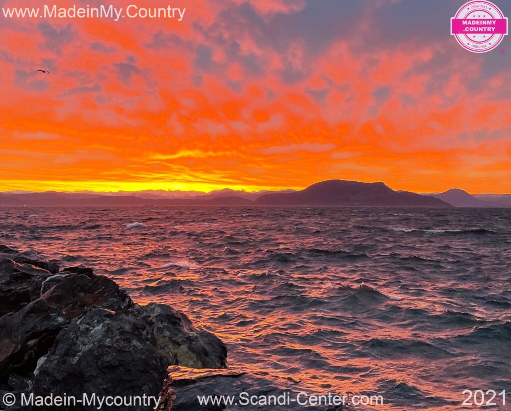 MadeinMycountry MadeinMycountryScandi Scandinavia MadeinMycountryNature MadeinMycountryNET